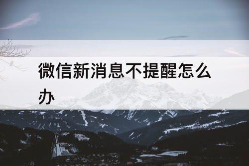 微信新消息不提醒怎么办