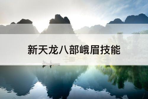 新天龙八部峨眉技能