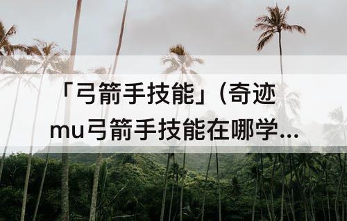 「弓箭手技能」(奇迹mu弓箭手技能在哪学)