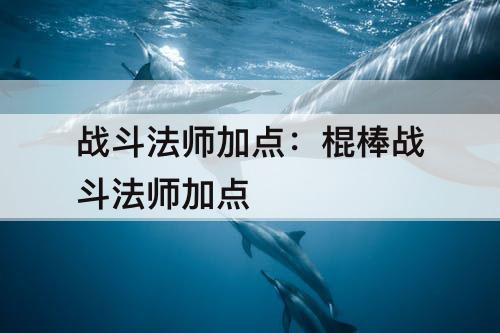 战斗法师加点：棍棒战斗法师加点