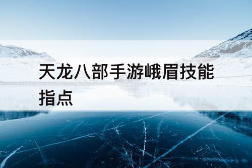 天龙八部手游峨眉技能指点