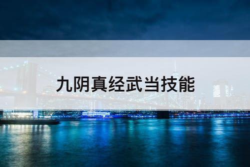 九阴真经武当技能