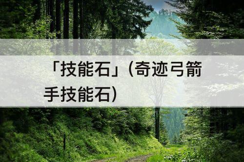 「技能石」(奇迹弓箭手技能石)
