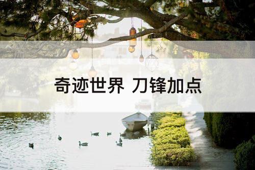 奇迹世界 刀锋加点