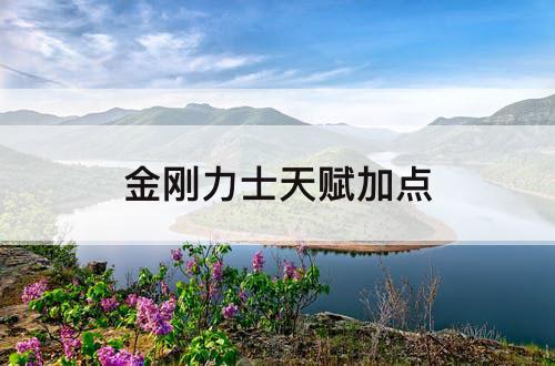 金刚力士天赋加点