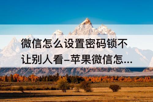 微信怎么设置密码锁不让别人看-苹果微信怎么设置密码锁不让别人看怎么解锁