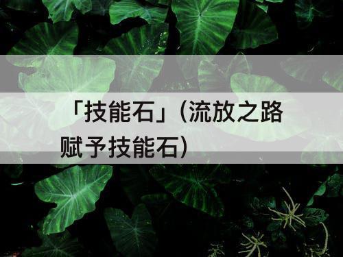 「技能石」(流放之路赋予技能石)
