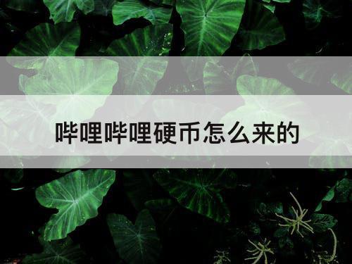 哔哩哔哩硬币怎么来的