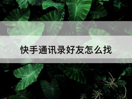 快手通讯录好友怎么找