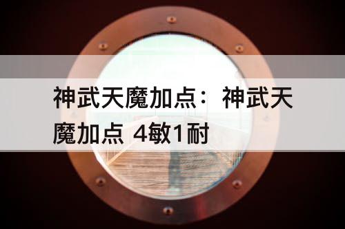神武天魔加点：神武天魔加点 4敏1耐