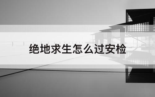 绝地求生怎么过安检