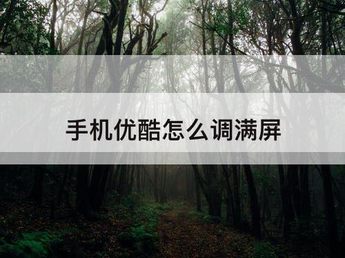 手机优酷怎么调满屏