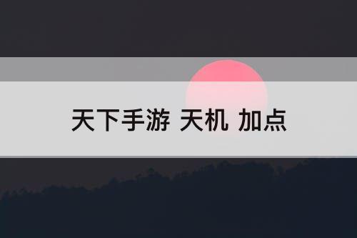 天下手游 天机 加点