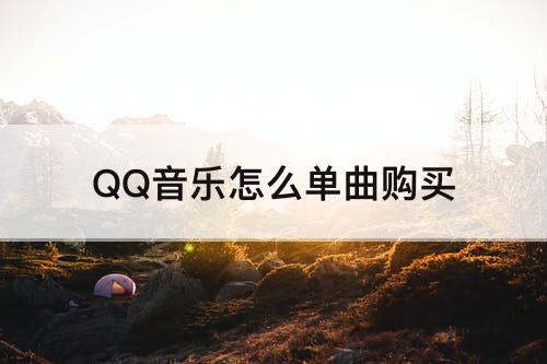 QQ音乐怎么单曲购买