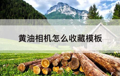 黄油相机怎么收藏模板