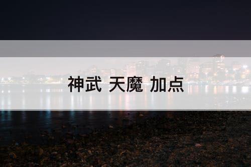 神武 天魔 加点
