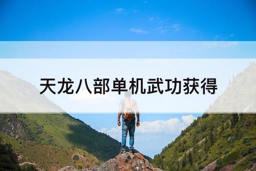 天龙八部单机武功获得