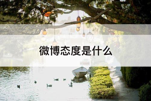 微博态度是什么