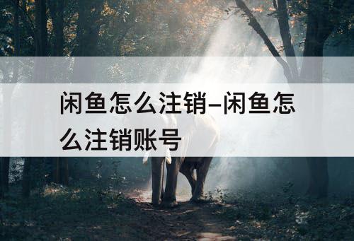 闲鱼怎么注销-闲鱼怎么注销账号