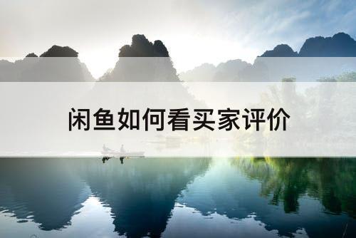闲鱼如何看买家评价