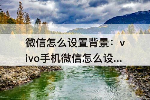 微信怎么设置背景：vivo手机微信怎么设置背景图