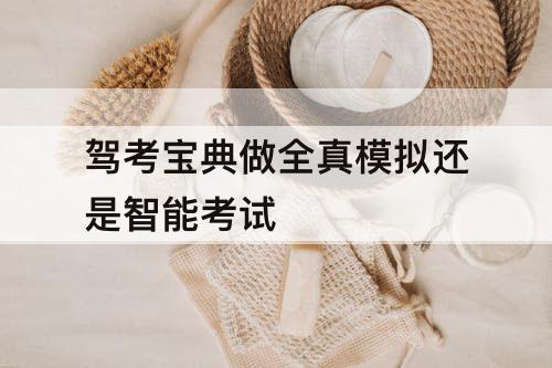 驾考宝典做全真模拟还是智能考试