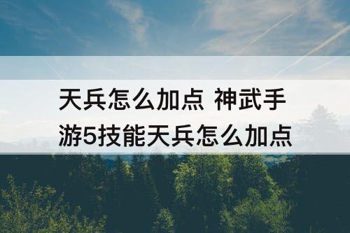 天兵怎么加点 神武手游5技能天兵怎么加点