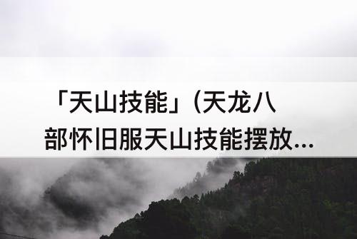「天山技能」(天龙八部怀旧服天山技能摆放)