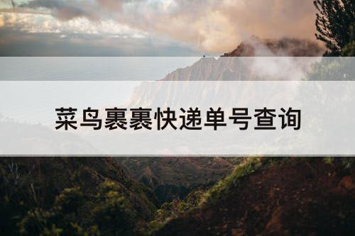 菜鸟裹裹快递单号查询