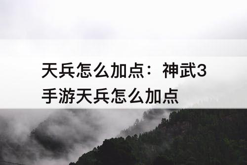 天兵怎么加点：神武3手游天兵怎么加点