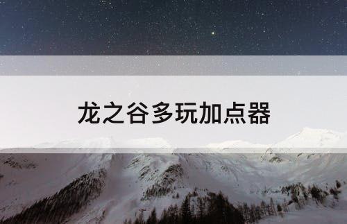 龙之谷多玩加点器