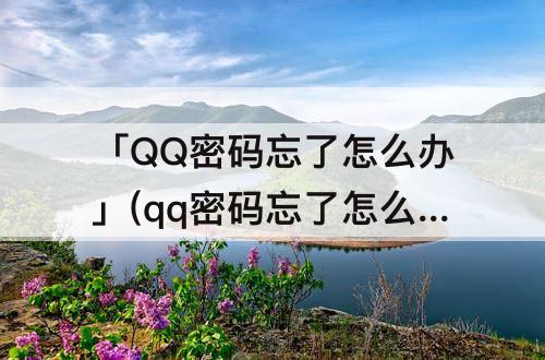 「QQ密码忘了怎么办」(qq密码忘了怎么办登录)