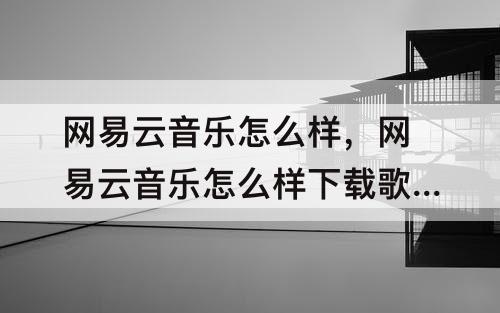 网易云音乐怎么样，网易云音乐怎么样下载歌曲