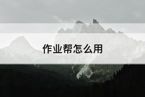 作业帮怎么用