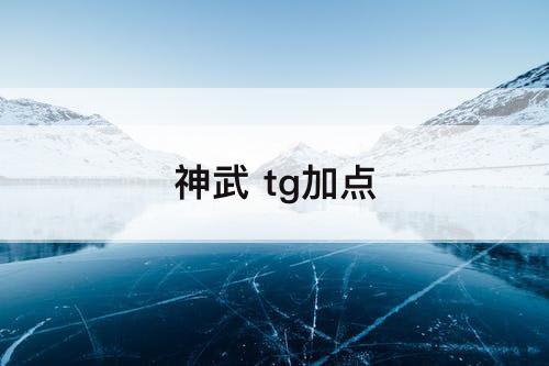 神武 tg加点