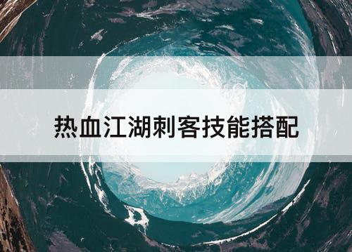 热血江湖刺客技能搭配