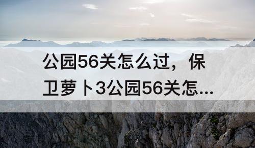 公园56关怎么过，保卫萝卜3公园56关怎么过