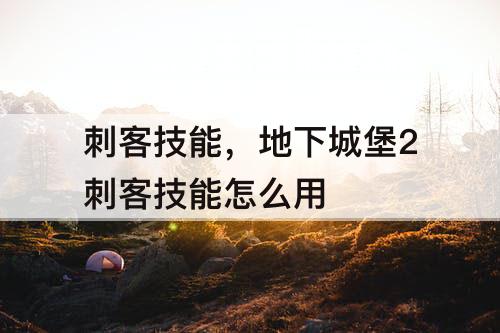刺客技能，地下城堡2刺客技能怎么用