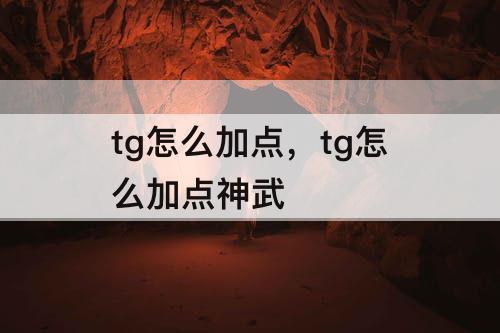 tg怎么加点，tg怎么加点神武
