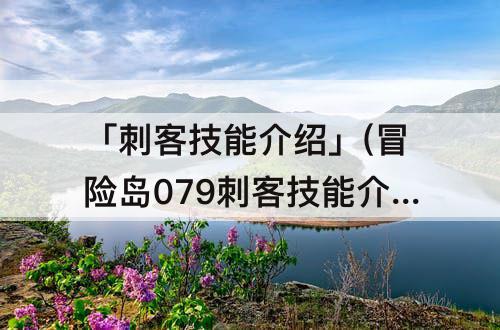 「刺客技能介绍」(冒险岛079刺客技能介绍)