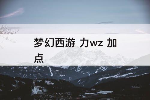 梦幻西游 力wz 加点