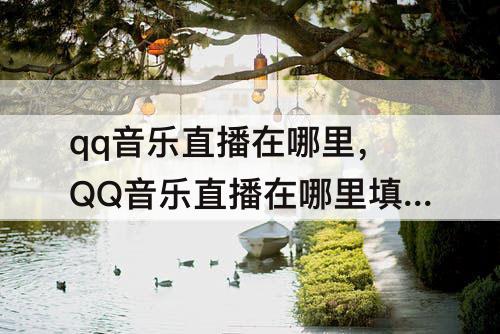 qq音乐直播在哪里，QQ音乐直播在哪里填邀请码