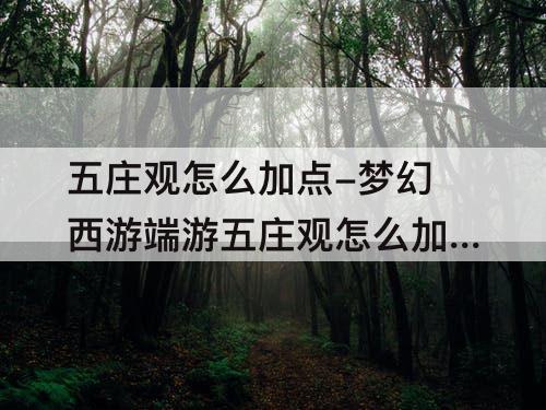 五庄观怎么加点-梦幻西游端游五庄观怎么加点