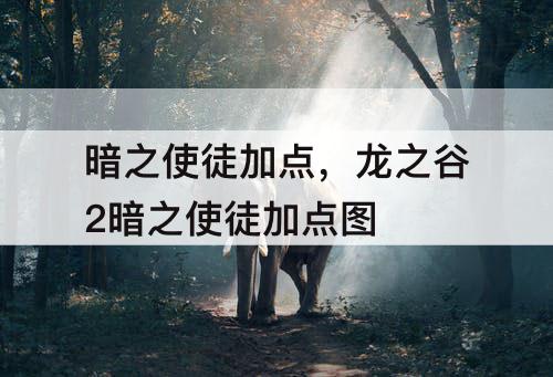 暗之使徒加点，龙之谷2暗之使徒加点图