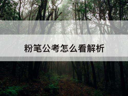 粉笔公考怎么看解析
