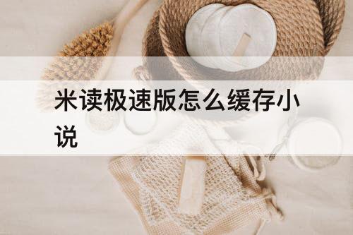 米读极速版怎么缓存小说