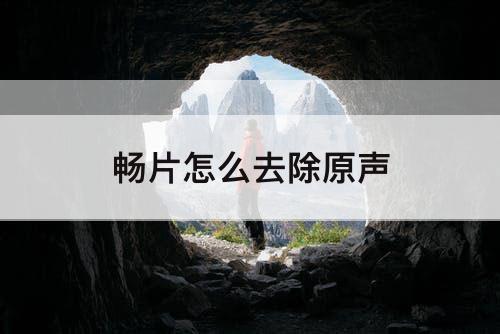畅片怎么去除原声