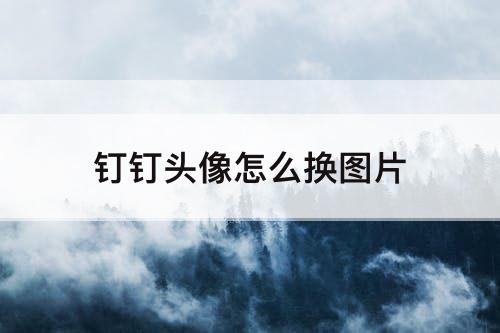 钉钉头像怎么换图片