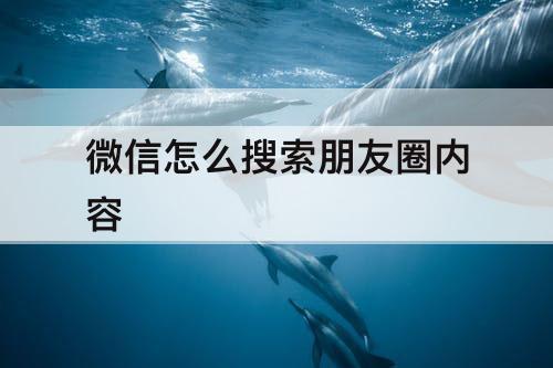 微信怎么搜索朋友圈内容