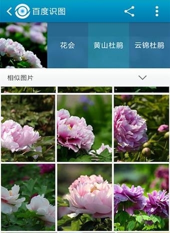 百度识图  v3.6.0图4